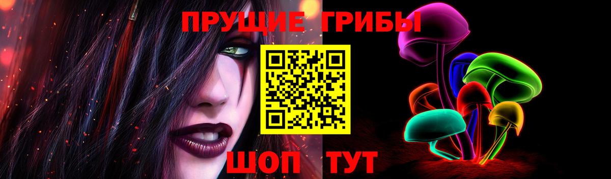 Галлюциногенные грибы ЛСД  Вход с VPN  Кохма  Галлюциногенные грибы Psilocybine cubensis 